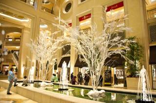 The Palazzo Waterfall Atrium put on their woodland-inspired holiday display with snowflakes, frosted Birch trees, ornaments and fresh poinsettias , Friday Dec 17th 2010.